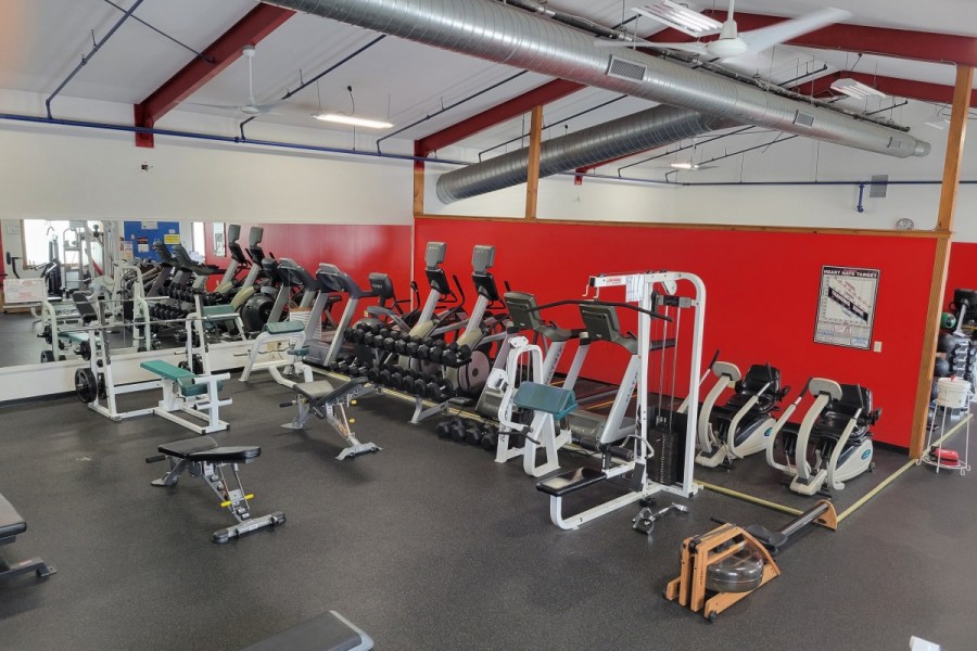 Gemini Fitness & Wellness